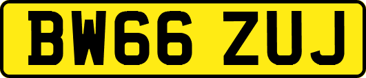 BW66ZUJ