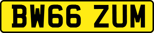 BW66ZUM