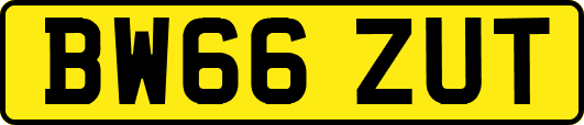 BW66ZUT