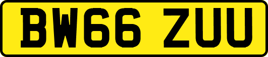 BW66ZUU