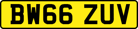 BW66ZUV