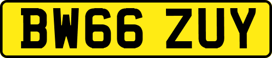BW66ZUY
