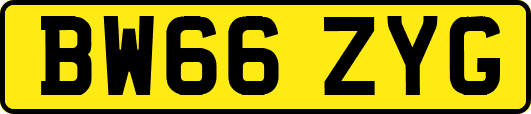 BW66ZYG