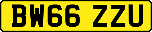 BW66ZZU
