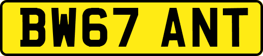 BW67ANT
