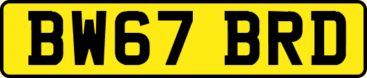 BW67BRD