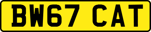 BW67CAT