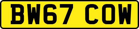 BW67COW