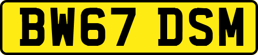 BW67DSM