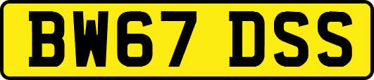 BW67DSS