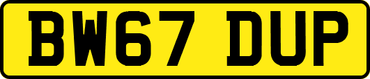 BW67DUP