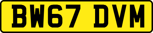 BW67DVM