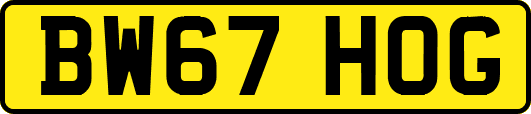 BW67HOG