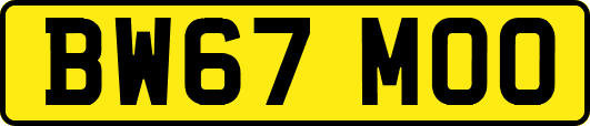 BW67MOO