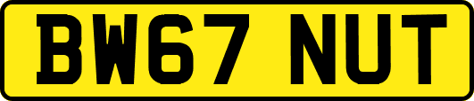 BW67NUT