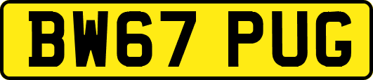 BW67PUG