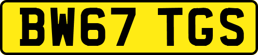 BW67TGS