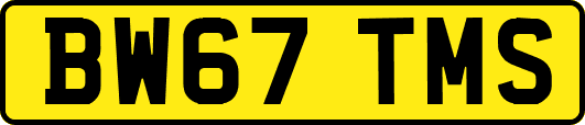 BW67TMS