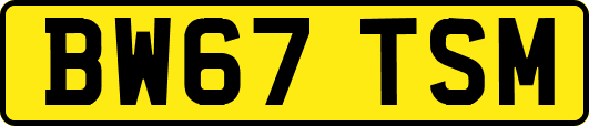 BW67TSM