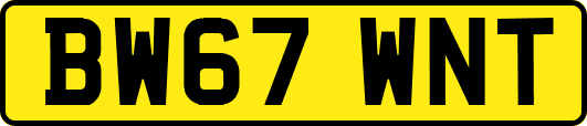 BW67WNT