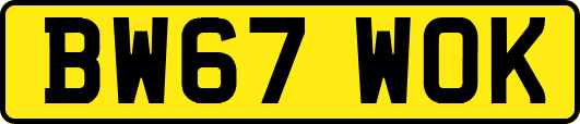 BW67WOK