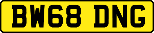 BW68DNG