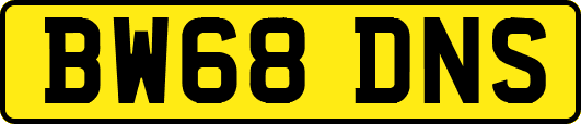 BW68DNS