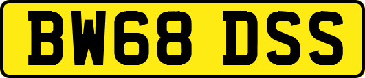 BW68DSS