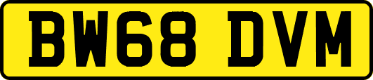 BW68DVM