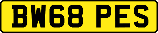 BW68PES