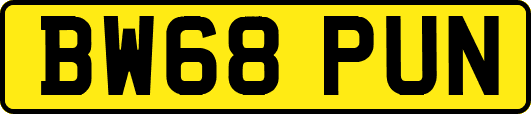 BW68PUN