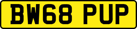 BW68PUP