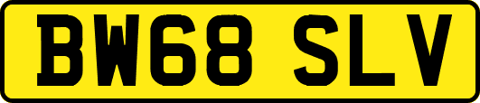 BW68SLV