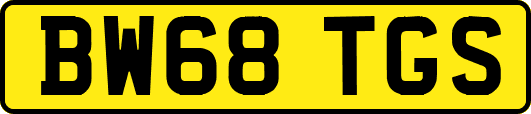BW68TGS