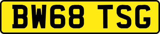BW68TSG