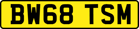 BW68TSM