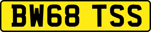 BW68TSS