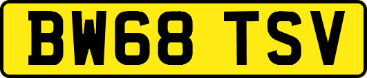 BW68TSV