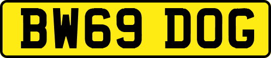 BW69DOG