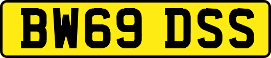 BW69DSS