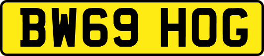 BW69HOG