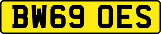 BW69OES