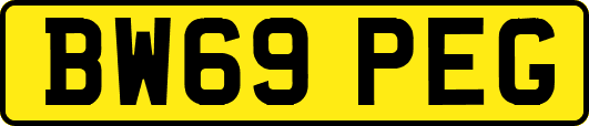 BW69PEG
