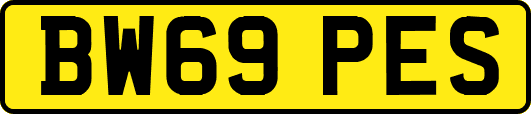 BW69PES