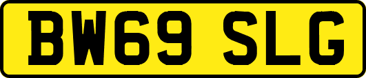 BW69SLG