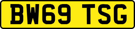 BW69TSG