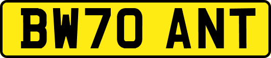 BW70ANT
