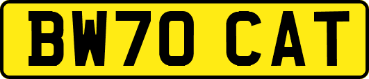 BW70CAT