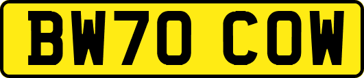 BW70COW