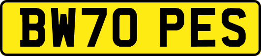 BW70PES
